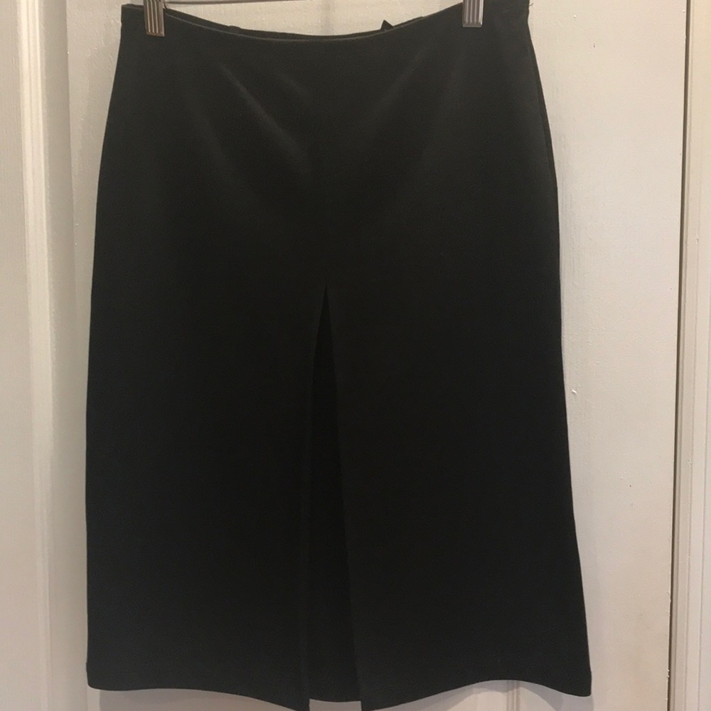 Express Pencil Skirt